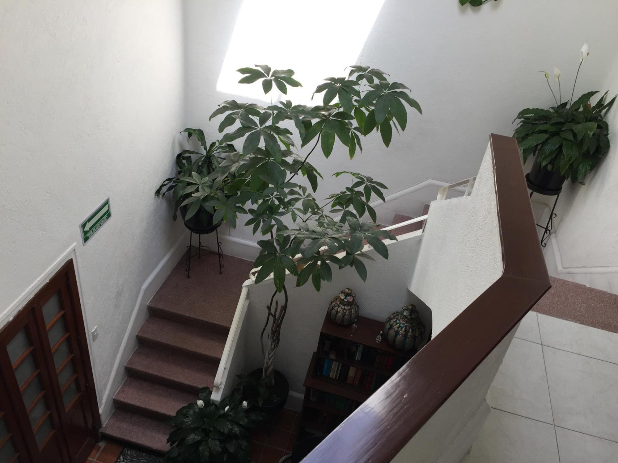 Casa Maria Elena Condesa (Adults Only) Hotel Cidade do México Exterior foto